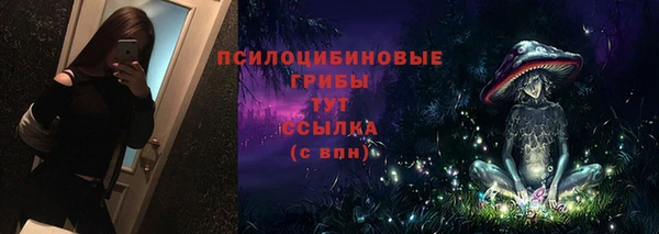 apvp Михайловка