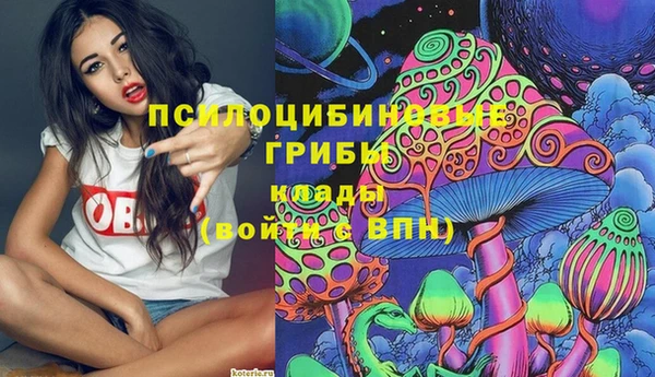 apvp Михайловка