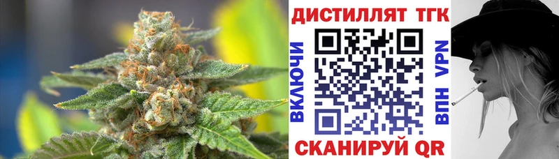 закладка  Олонец  ТГК вейп 