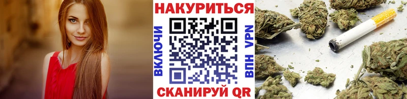 дарнет шоп  Олонец  Бошки марихуана семена 